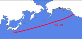 Google Teams With Asian Telecoms For “Faster” Undersea Cable
