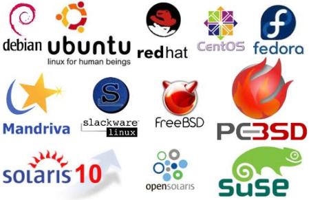 A Comprehensive Guide on the Top 12 Linux Distros and Their Core Functionalities