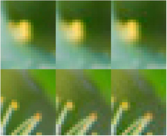 Google Unveils Open-Source Guetzli: A Revolutionary JPEG Encoder That Reduces Image Size by 35% Without Compromising Quality