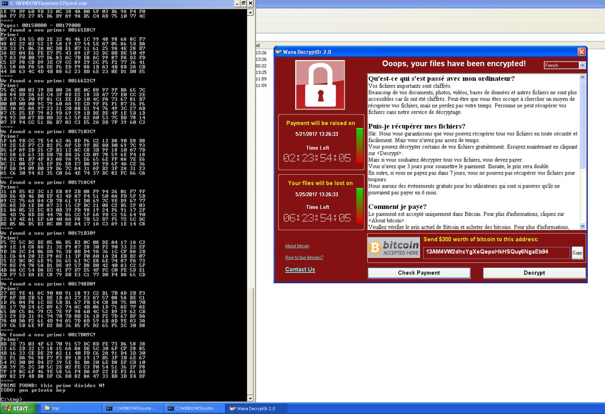 Unmasking WannaKey: The French Solution to the WannaCry Ransomware Saga on Windows XP