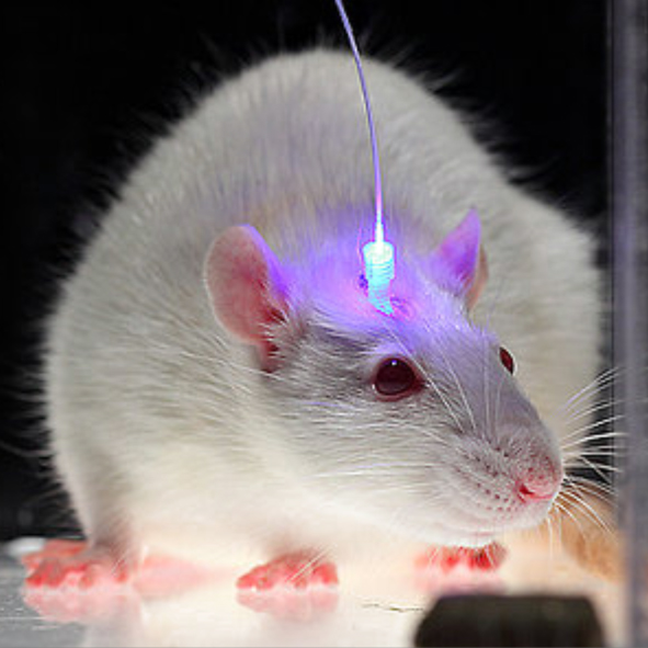 Innovative Use of Optogenetics and Android Technology In The Fight Against Diabetes