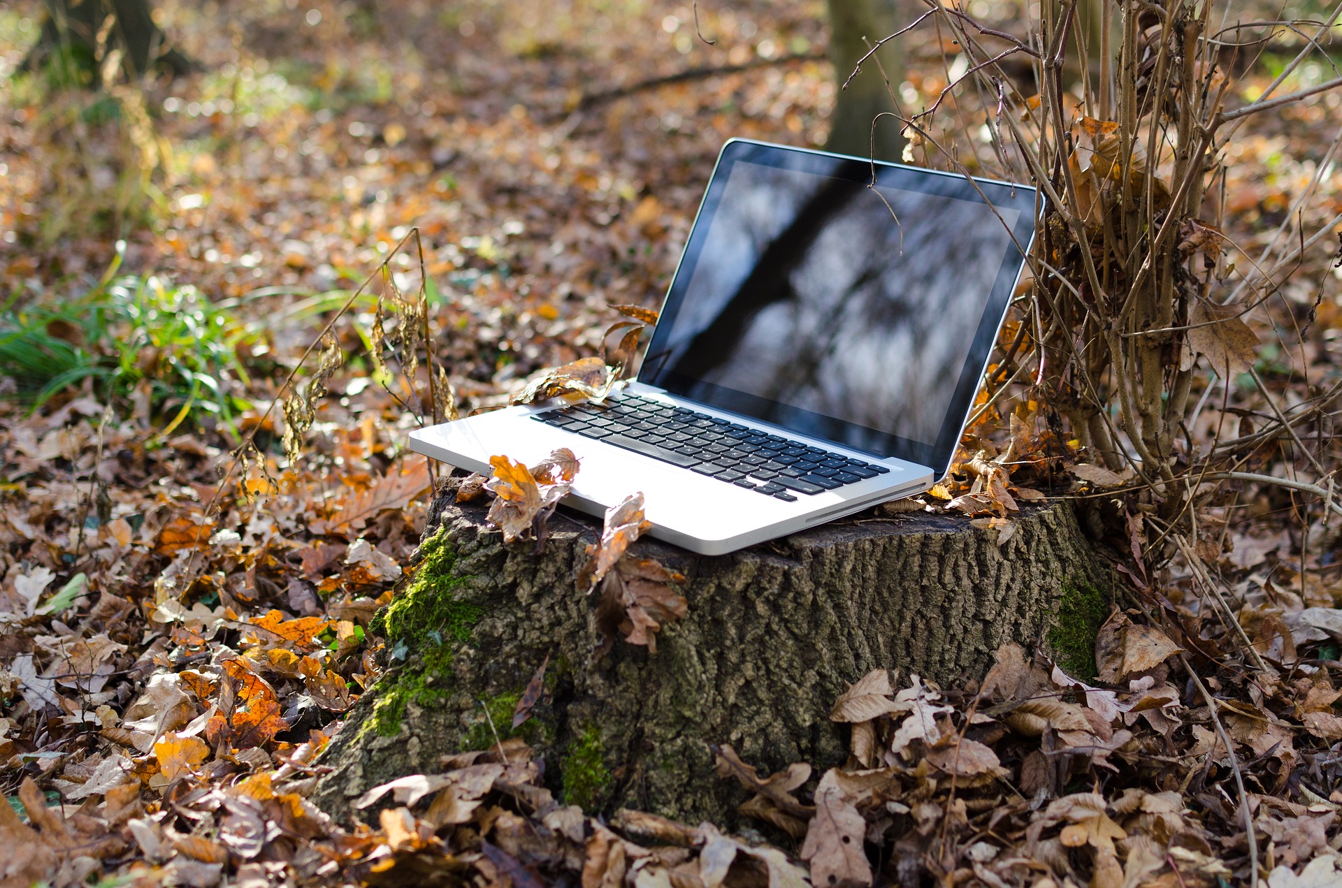 Stay Safe While Using Free Public Wi-Fi via VPN