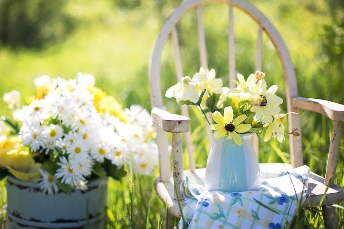 5 Gadgets to Make Gardening Easier