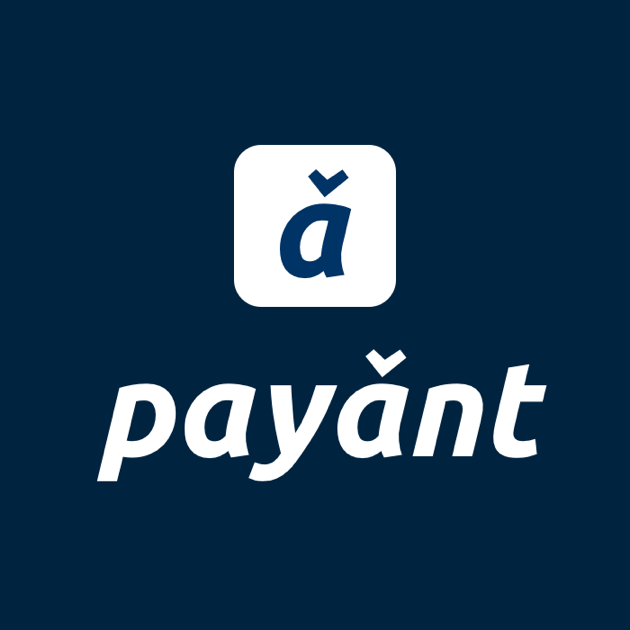 Kaduna Based Fintech Startup, Payant Crosses ₦1 billion Transactional Milestone