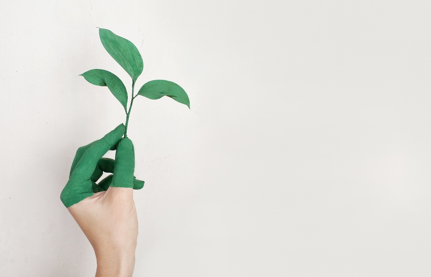 Want To Reduce Your Carbon Footprint? Here Are The Gadgets You’ll Need