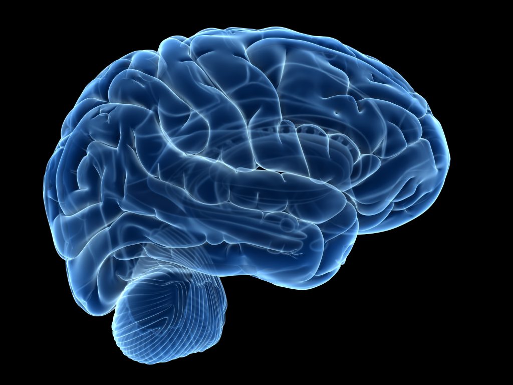 Neuralink To Start Equipping Human Brains With Faster Input and Output Starting 2020