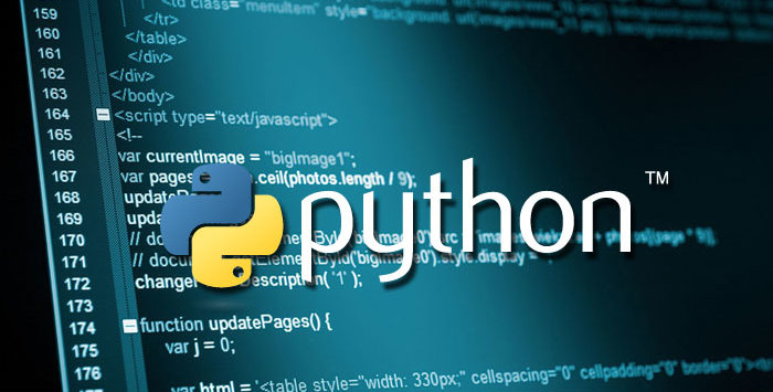 Explainer: The Ways Python Development Can Benefit Your Business