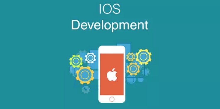 Best Tips for iOS Developers To Develop Application According To Global Market