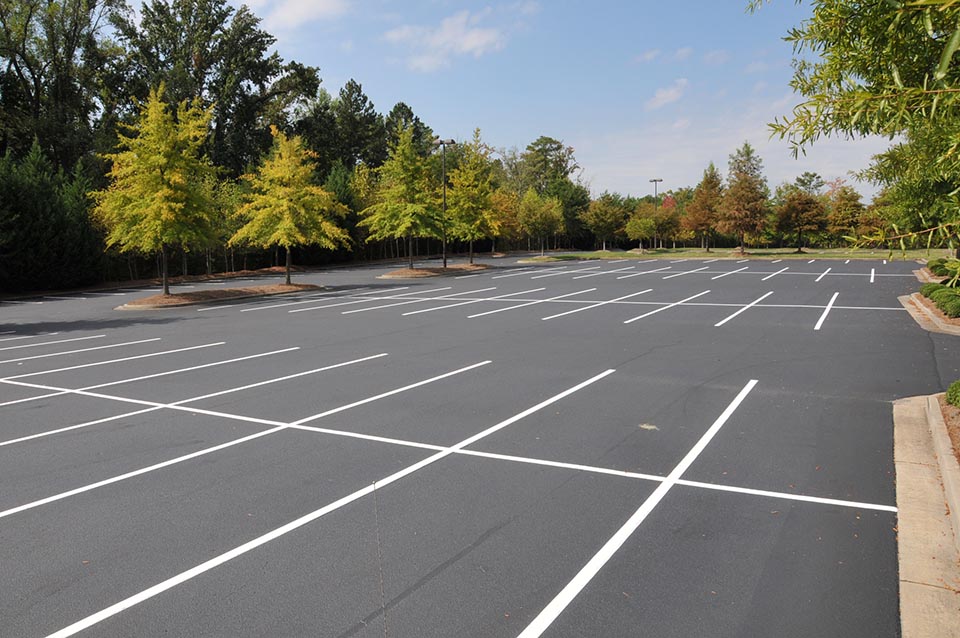 How To Make A Parking App A Driving Force Behind Your Success?