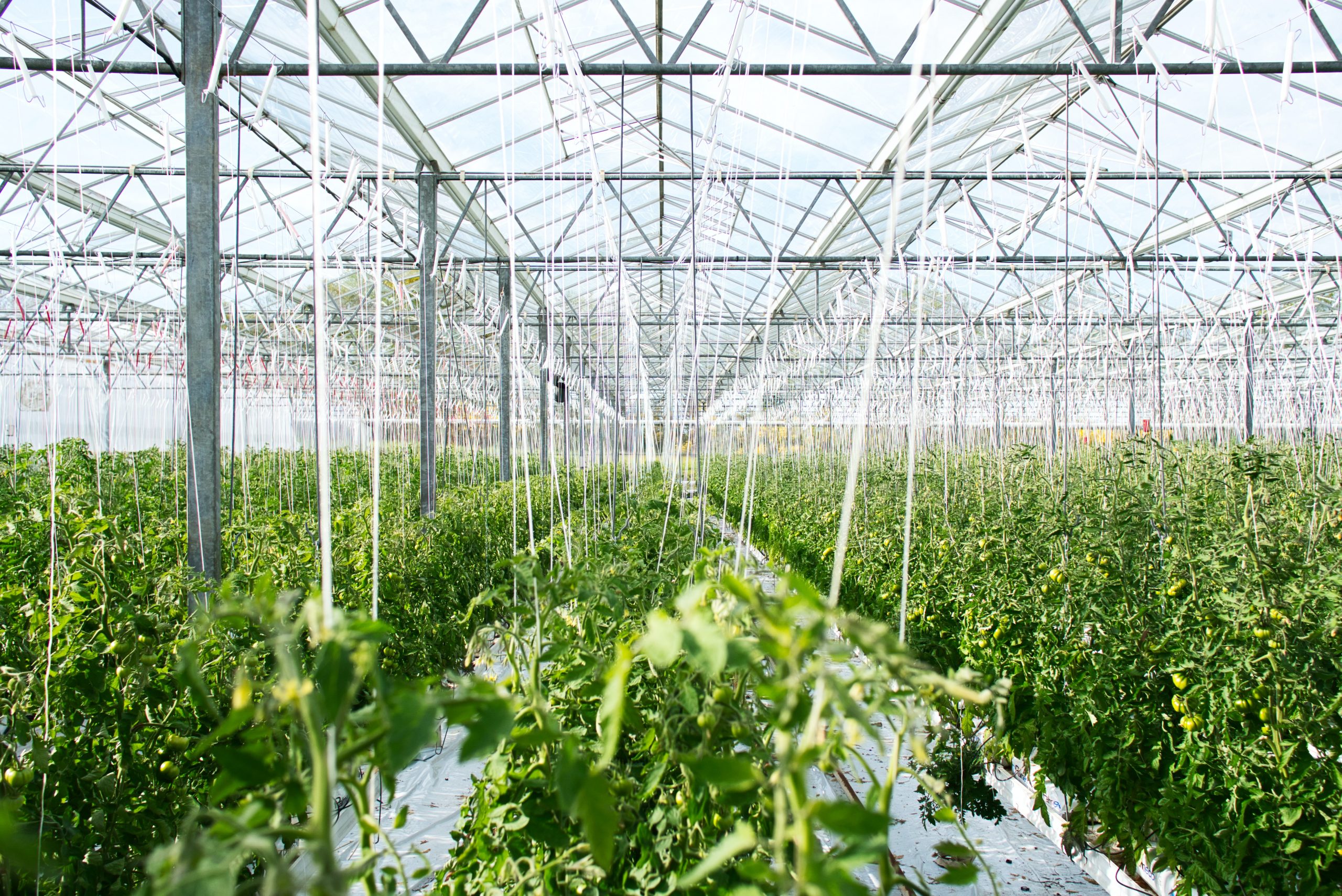 Here Are 4 Ways Technology Is Impacting Agriculture