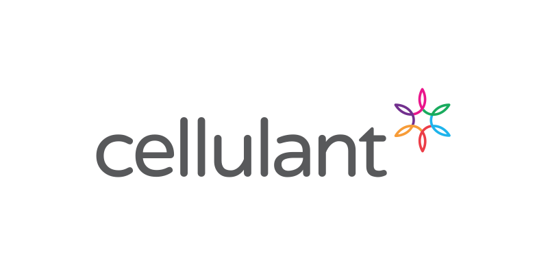 Nigerian Fintech Company Cellulant Is Having Some Kind Of Crisis As CEO Is Forced Out