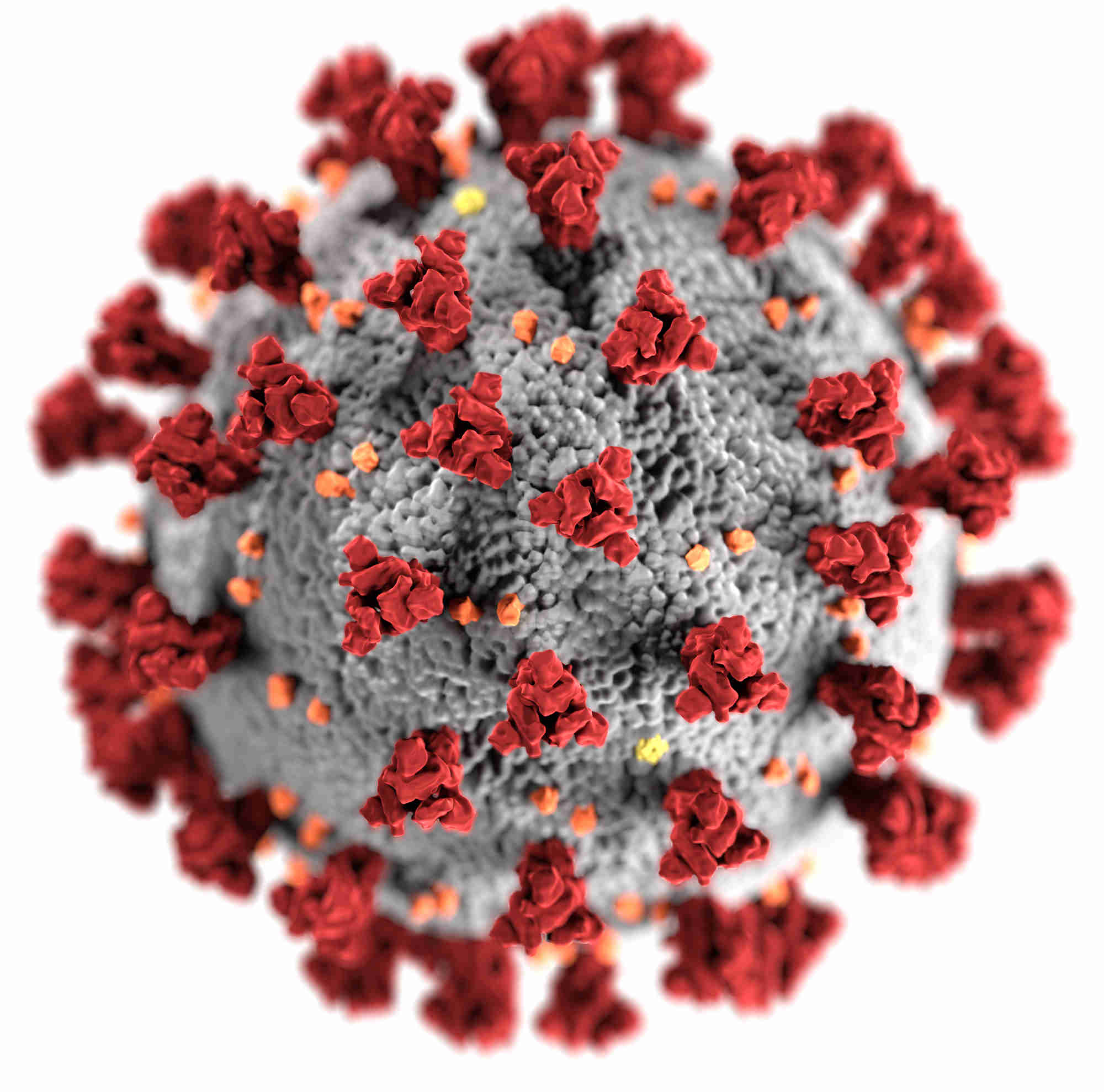 YouTube To Ban Misleading Videos On Coronavirus Vaccines And Treatments