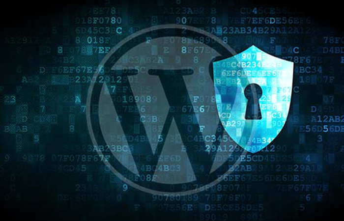 WordPress Security Vulnerabilities And How To Protect Yourself