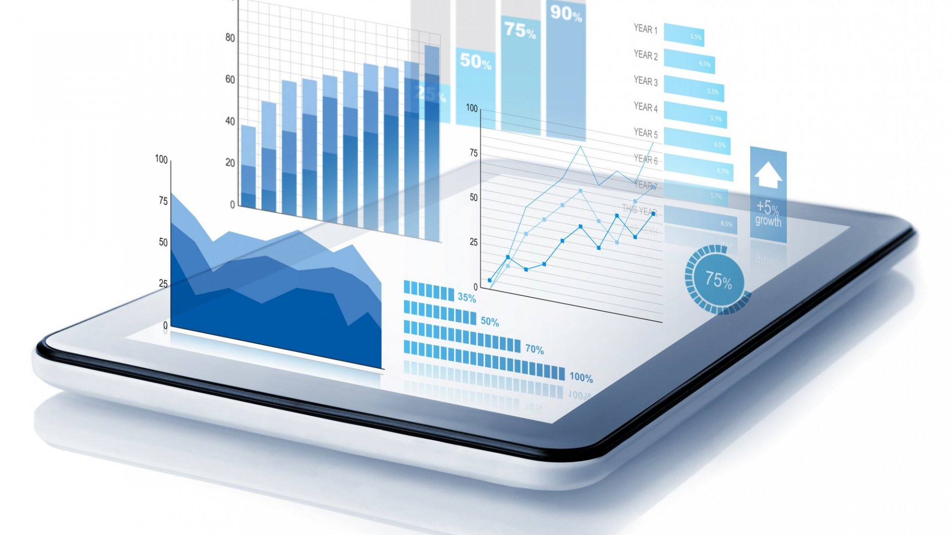 What You Can Learn From Your Data During Your First Year of Business
