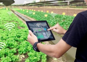 A Guide To Agriculture Process Tracking Solution For Agricultural Businesses