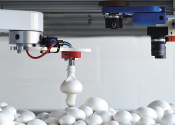 Researchers Develop Robot That Picks And Trims Mushrooms