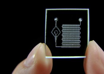 Researchers Curate New Chip That Can Mimic Organs, Helping With More Accurate Malaria Tests