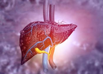 HDL3 “Good Cholesterol” Protects Against Liver Inflammation, New Study Shows