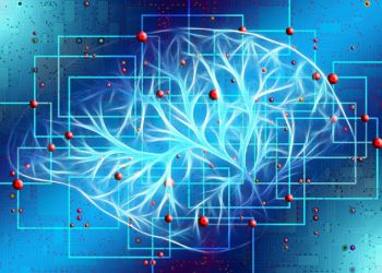 Researchers Discover Brain Mapping Method That Illuminates Targets For Treating Parkinson’s Disease And Depression