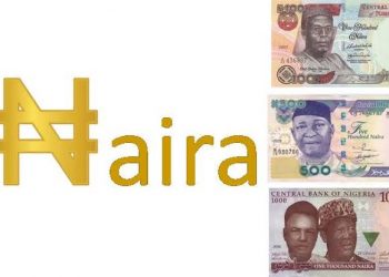 The Nigerian Central Bank Will Launch A Digital Naira In October