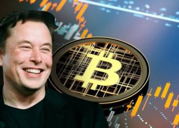 Elon Musk Had This To Say At His Bitcoin Meet-up With Jack Dorsey Yesterday