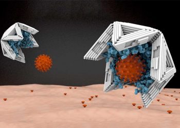 DNA-Made Hollow Nano-Object Researched To Help Trap Viruses And Render Them Harmless