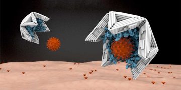 DNA-Made Hollow Nano-Object Researched To Help Trap Viruses And Render Them Harmless