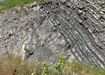 The Devonian Land Plants Arrival And How It Shaped The Earth’s Climate Control System