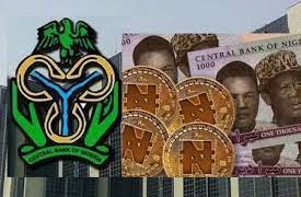 Ndovu Declines To Publish The Outcome Of Its Pre-seed Round.