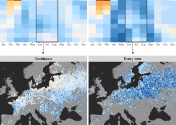How Forests Increase Clouds And Cool The Climate – Assessment Using Satellites Reveal