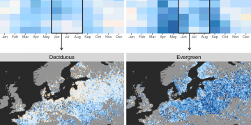 How Forests Increase Clouds And Cool The Climate – Assessment Using Satellites Reveal