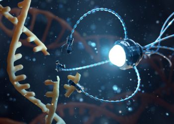Nanoscience And Nanotechnology, What You Need To Know