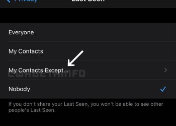 WhatsApp For iOS Adds The Ability To Adjust ‘Last Seen’ Status Per Contact-By-Contact.