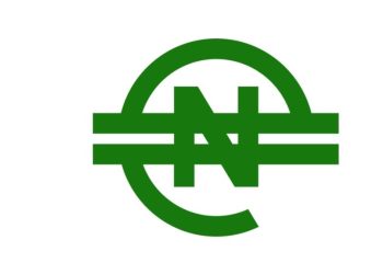 Barely 48hrs, eNaira App Gets Removed From The Google Play Store