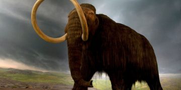 New DNA Research Shows How Giant Woolly Mammoth Became Extinct