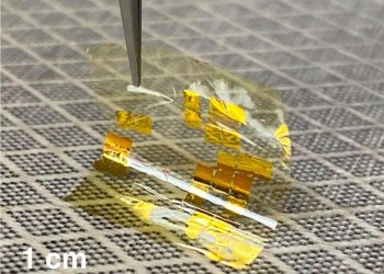 Stanford Scientists Develop New Photovoltaic Material, TMD For Lightweight Solar Panels