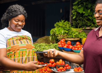 FinTech Companies And The Need To Reposition Africa’s Offline And Digital Payments