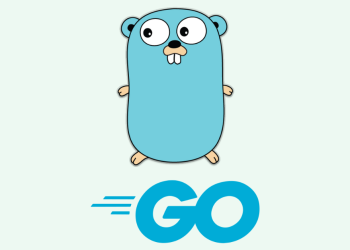 Here Are Some Reasons To Learn Go in 2022