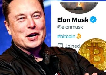 Twitter Accepts Elon Musk’s $43 Billion Buyout Offer