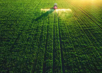 Africa’s Agritech Sector Funding Raises $1.1 Billion, A Ten-Fold Increase In Five Years