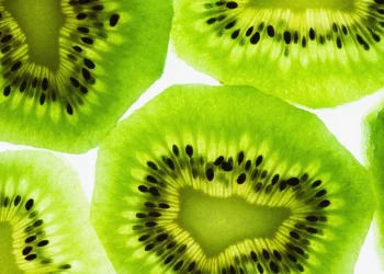 In Spite Of The Sucess Of Genetically Modified Foods, Debates Abound