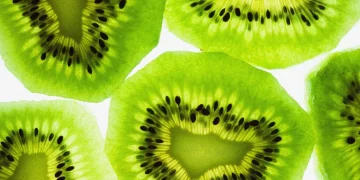 In Spite Of The Sucess Of Genetically Modified Foods, Debates Abound