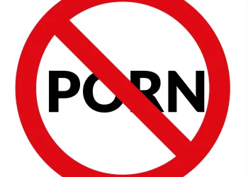 Eight US States Mull Anti-Porn Bills And It Would Likely Affect Device Makers