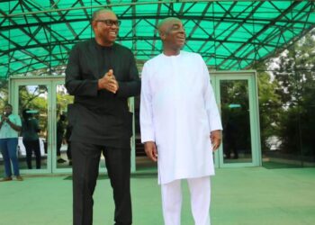 The Problem With The Leaked Phone Call Between Peter Obi And Bishop Oyedepo