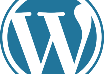 WordPress Launches Revolutionary 100-Year Domain Plan With Hosting