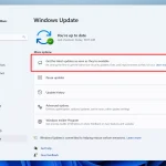 Ads Could Be Coming To Windows 11 Shortly get-latest-updates-toggle