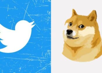 Twitter Logo Transition To The Shiba Inu Without A Formal Announcement