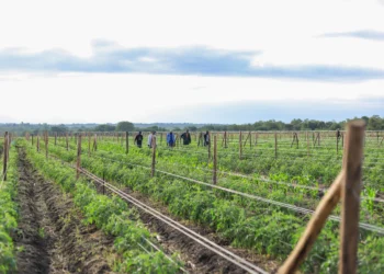 FarmWorks Is Keen On Empowering Its Start-up Commitment With $4 Million Equity Capital