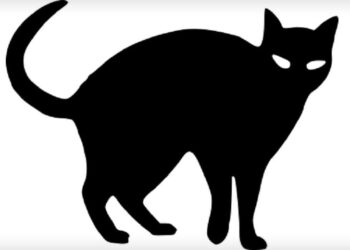 Bet9ja Revealed Blackcat’s Strains Of Codes Hacking Into Its Gaming System
