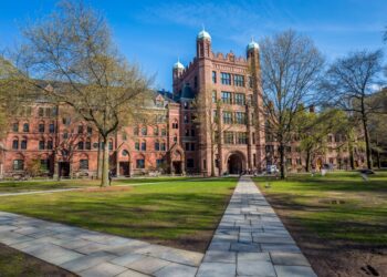 New AI Research Assistant Backed by Samsung for Education Sector